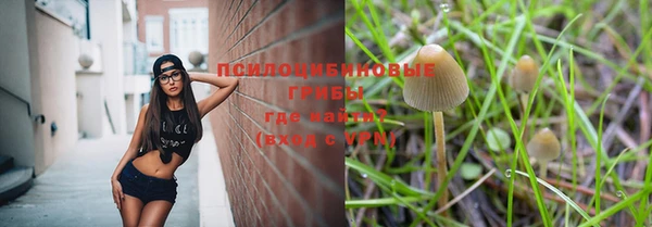ALPHA PVP Богородицк