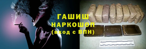 a pvp Бородино