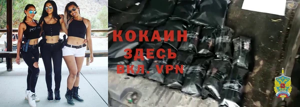 ALPHA PVP Богородицк