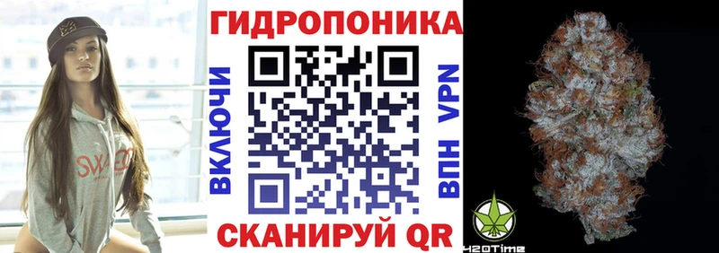 blacksprut как зайти  Тосно  Каннабис LSD WEED 